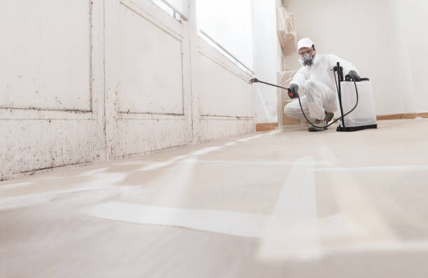 Black mold remediation team in Lakeland